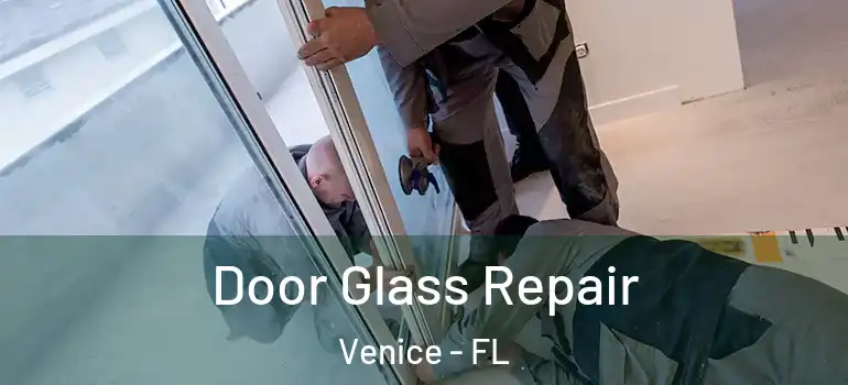  Door Glass Repair Venice - FL