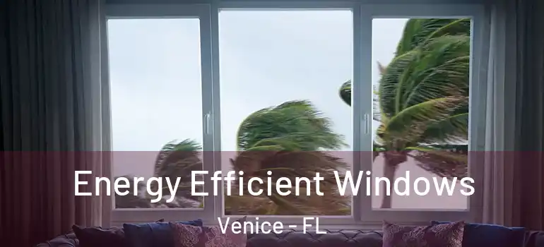 Energy Efficient Windows Venice - FL