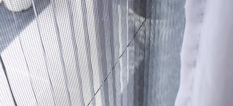 Fixing Screen Window Mesh in Venice, FL