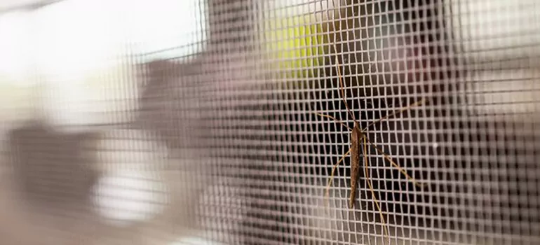 Repair Mosquito Mesh For Windows in Venice, FL